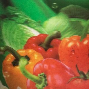 Meet your Posher, Loretta